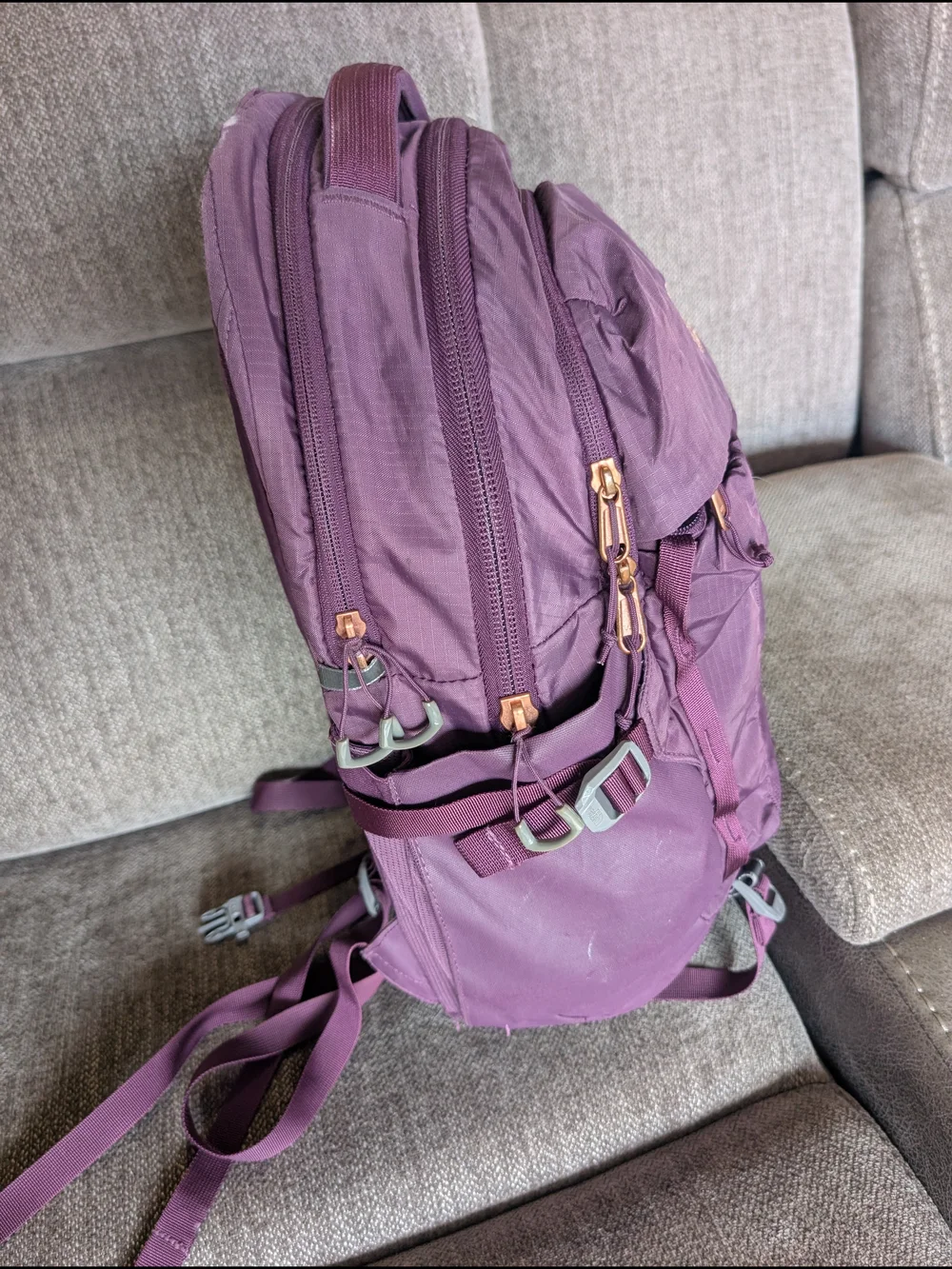 The North Face Purple Backpack